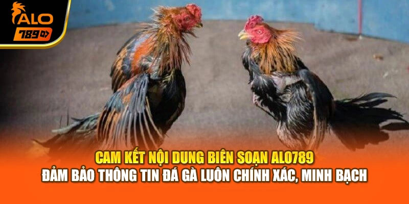 Cam kết nội dung biên soạn Alo789 đảm bảo thông tin đá gà luôn chính xác, minh bạch