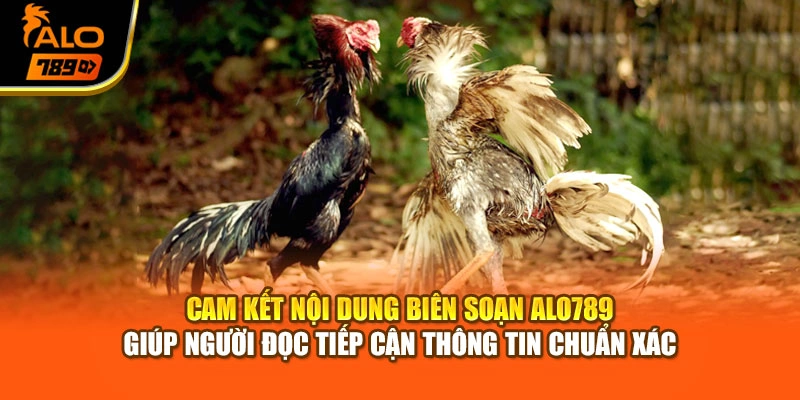 Cam kết nội dung biên soạn Alo789 giúp người đọc tiếp cận thông tin chuẩn xác