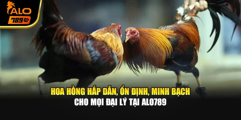 Hoa hồng hấp dẫn, ổn định, minh bạch cho mọi đại lý tại Alo789
