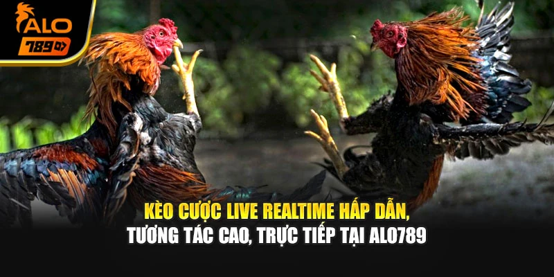 Kèo cược live realtime hấp dẫn, tương tác cao, trực tiếp tại Alo789