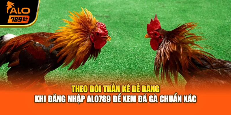 Theo dõi thần kê dễ dàng khi đăng nhập Alo789 để xem đá gà chuẩn xác