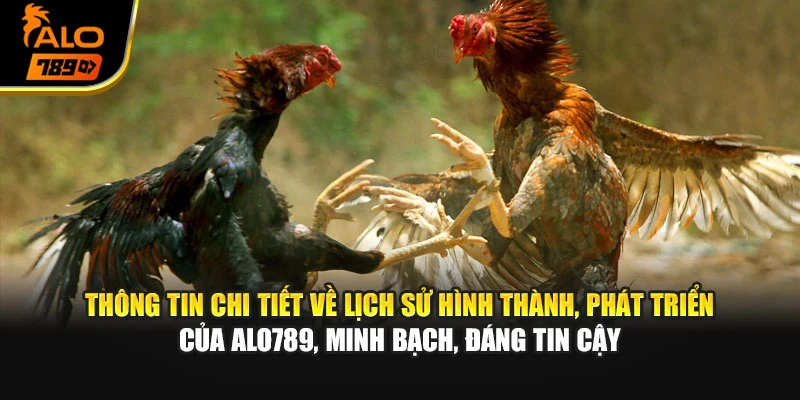 Thông tin chi tiết về lịch sử hình thành, phát triển của Alo789, minh bạch, đáng tin cậy