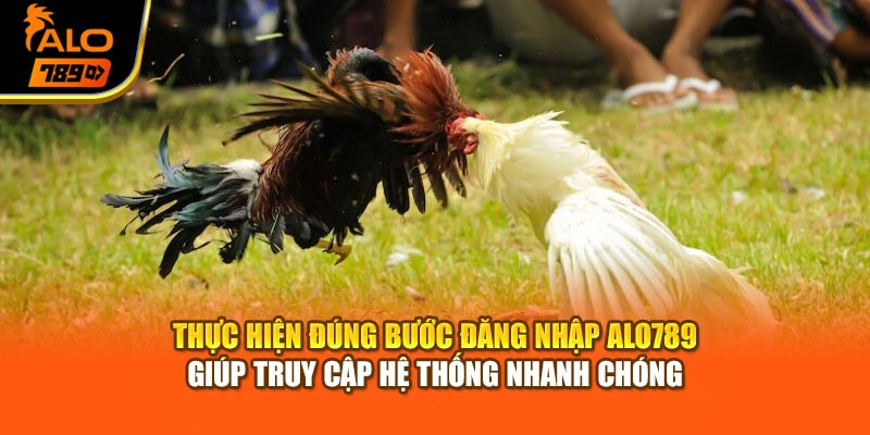Thực hiện đúng bước đăng nhập Alo789 giúp truy cập hệ thống nhanh chóng