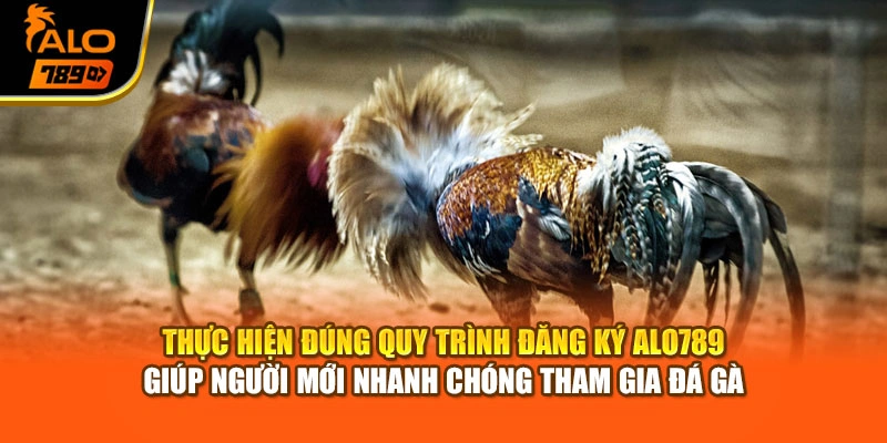 Thực hiện đúng quy trình đăng ký Alo789 giúp người mới nhanh chóng tham gia đá gà