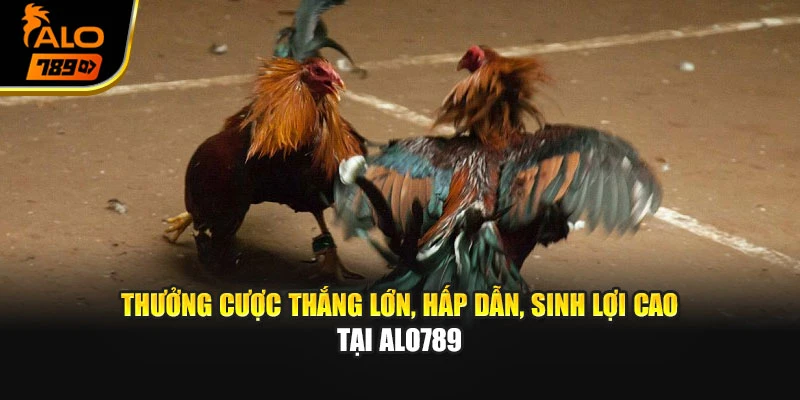 Thưởng cược thắng lớn, hấp dẫn, sinh lợi cao tại Alo789