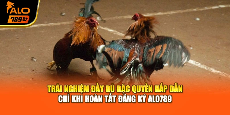 Trải nghiệm đầy đủ đặc quyền hấp dẫn chỉ khi hoàn tất đăng ký Alo789